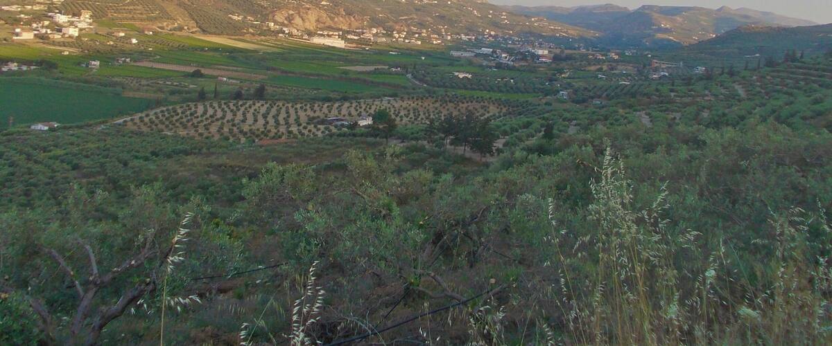 A mountainous landscape with terraced fields and scattered buildings.
