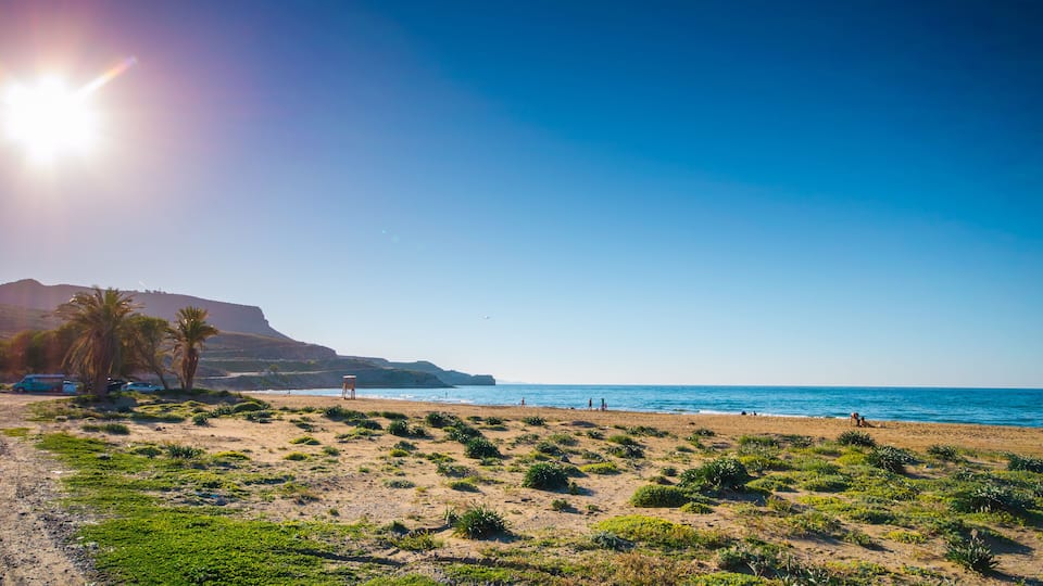 A beach with green vegetation, a lifeguard tower, and a mountain in the background.