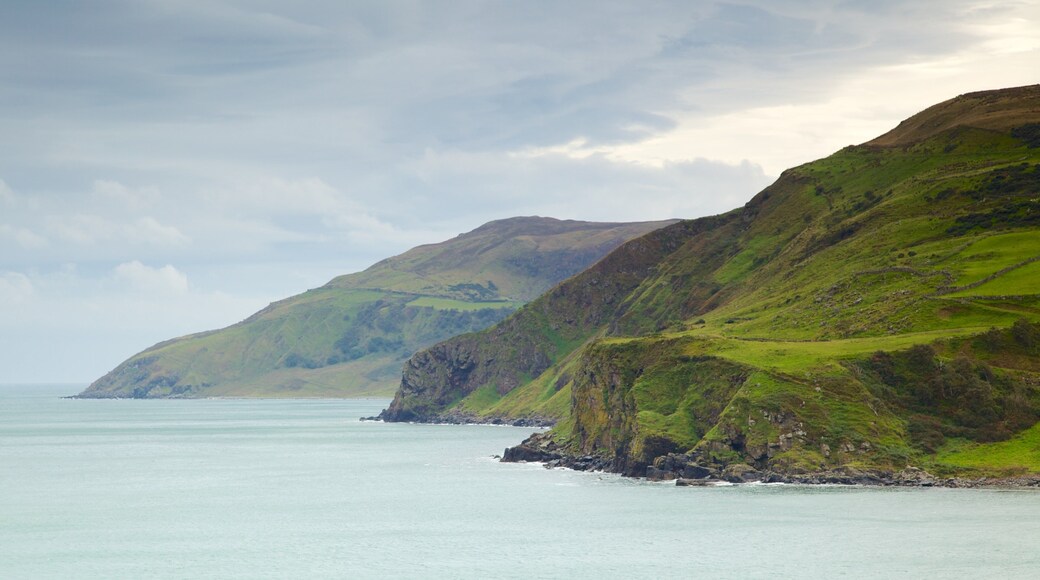Torr Head showing landscape views, tranquil scenes and rugged coastline