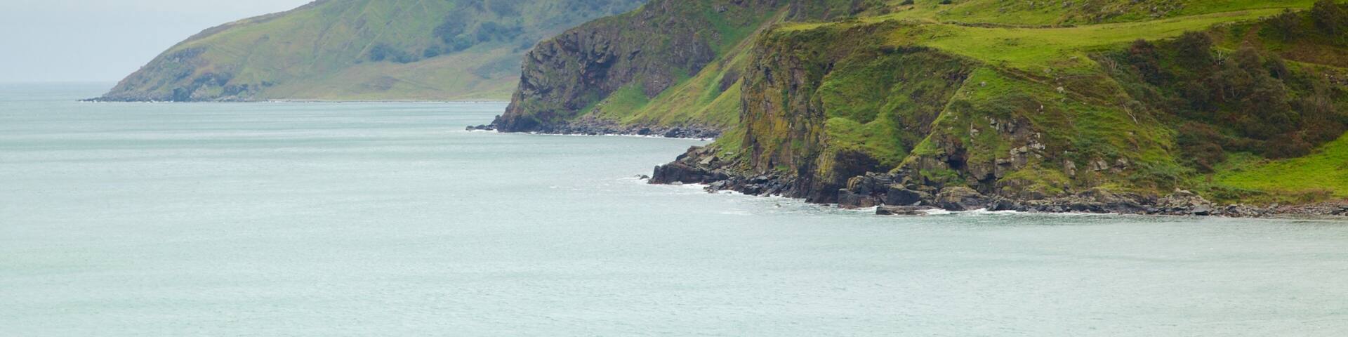 Torr Head showing landscape views, tranquil scenes and rugged coastline