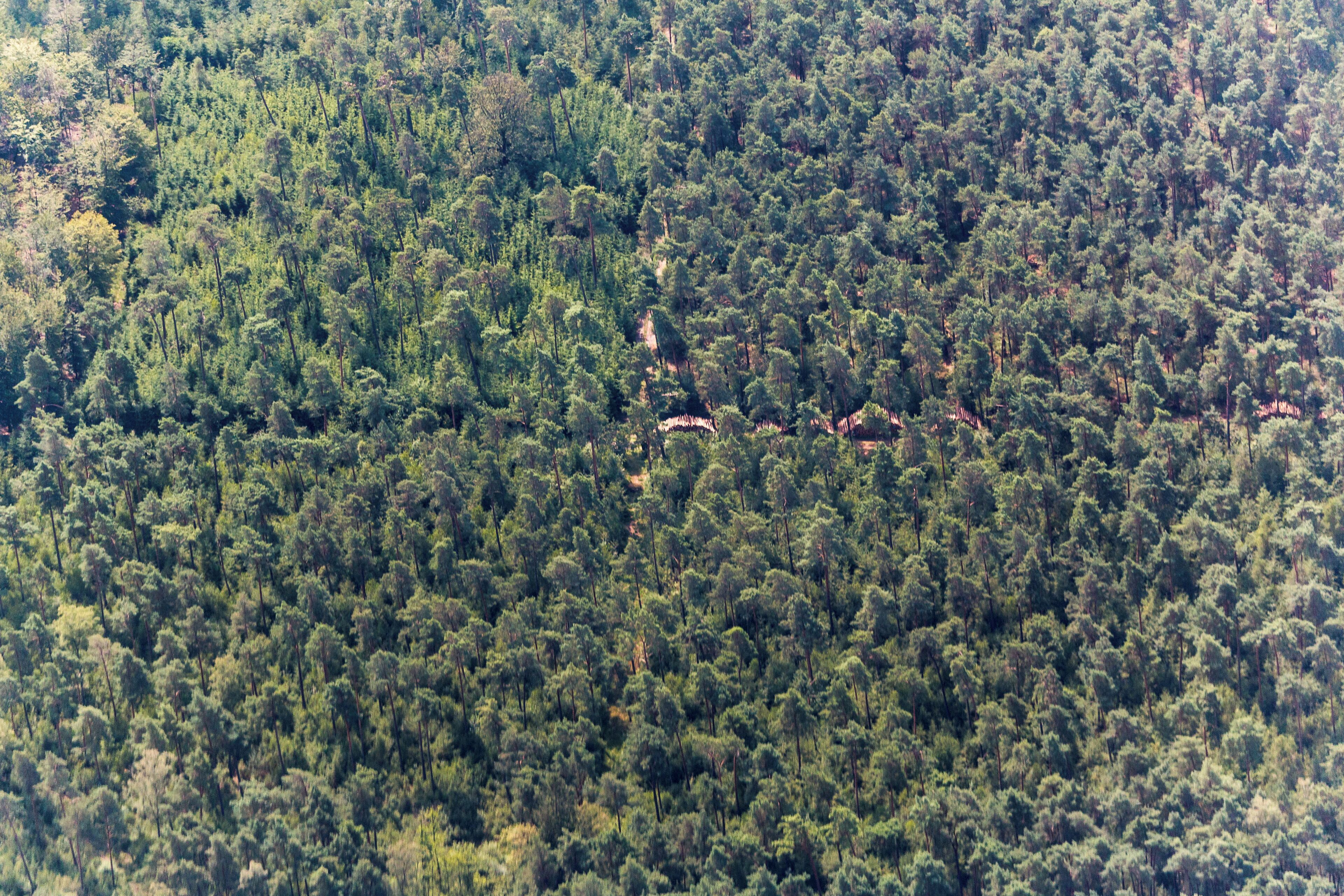 Note: The photo was taken from an airplane and was photographed through glass.
