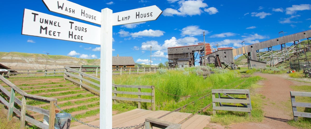 A signpost with directions to 'Wash House', 'Lamp House', and 'Tunnel Tours Meet Here'.