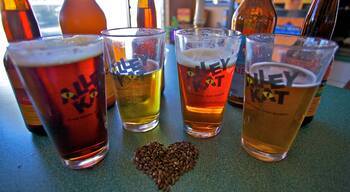 Alley Kat Brewing Company das einen Innenansichten und Drinks oder Getränke