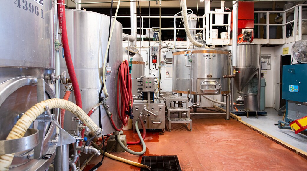 Alley Kat Brewery showing interior views