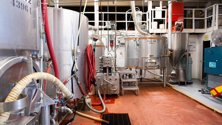 Alley Kat Brewery showing interior views