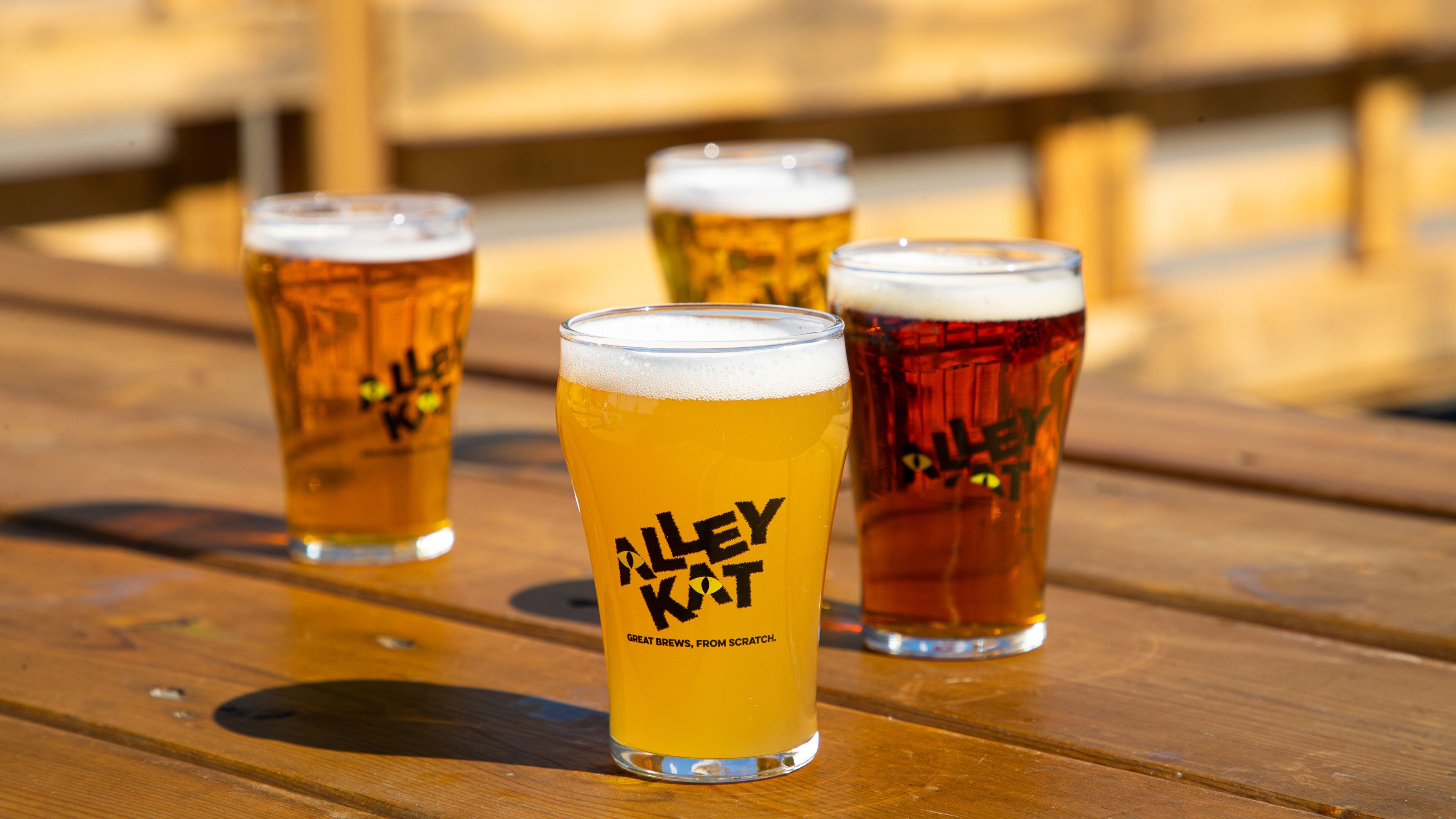 Alley Kat Brewery showing drinks or beverages and a bar