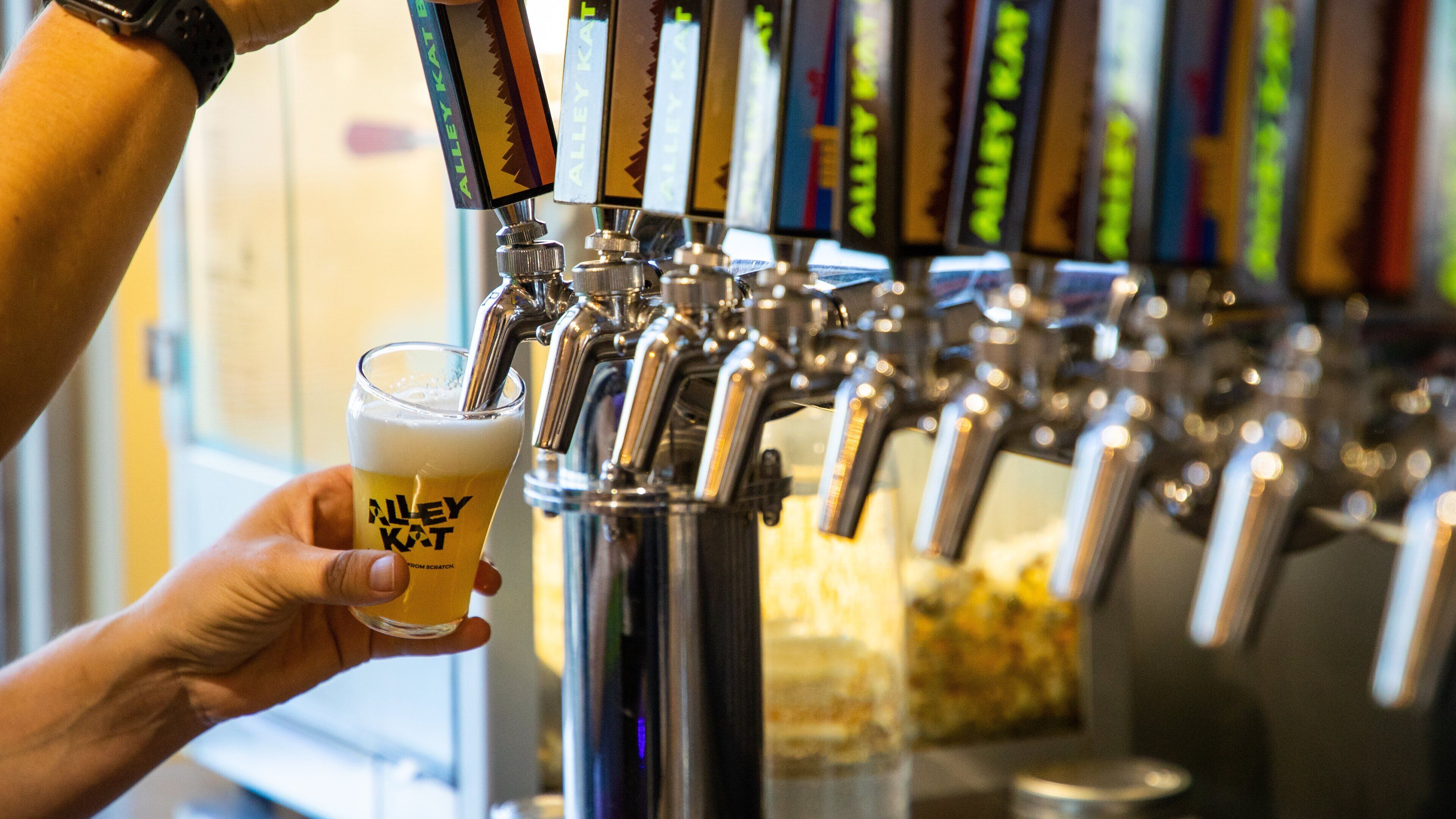 Alley Kat Brewery which includes drinks or beverages and a bar