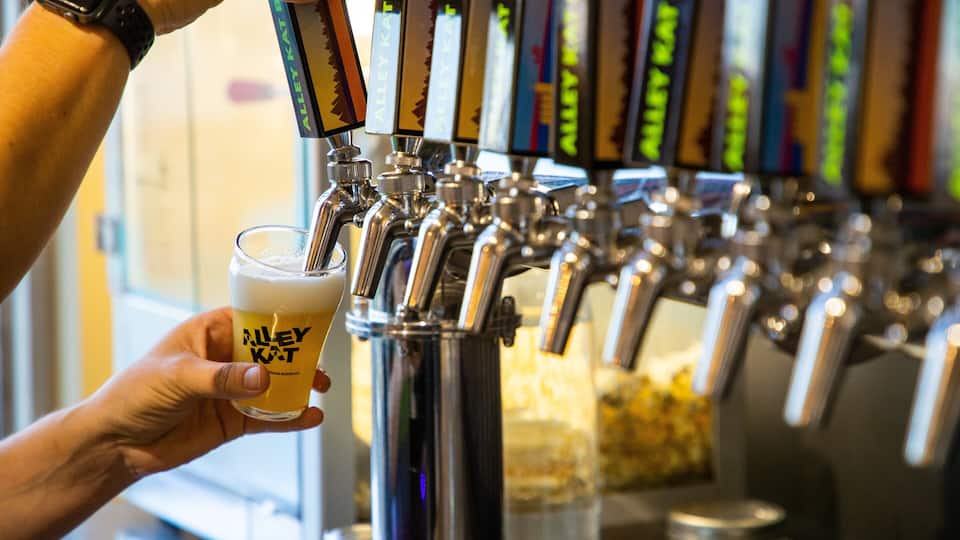 Alley Kat Brewery which includes drinks or beverages and a bar