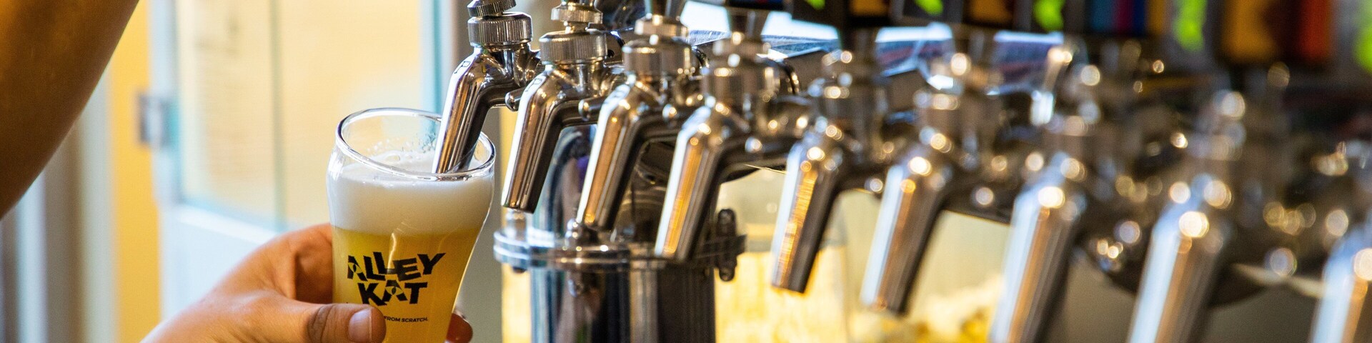 Alley Kat Brewery which includes drinks or beverages and a bar