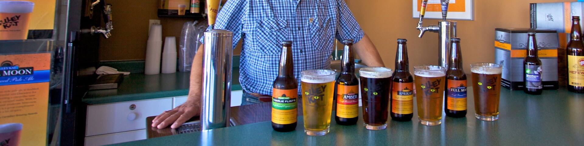 Alley Kat Brewery featuring drinks or beverages as well as an individual male