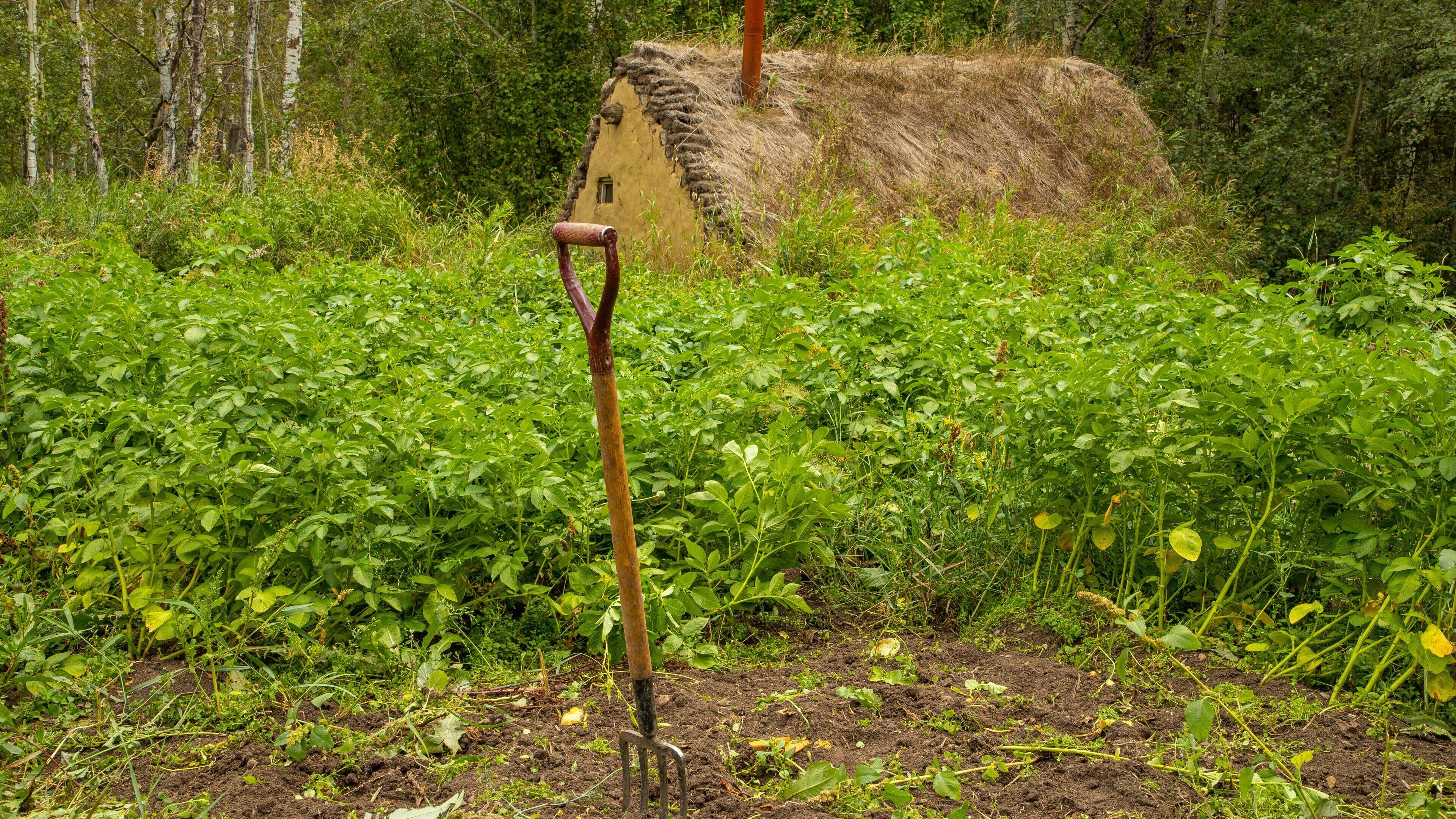 Ukrainian Cultural Heritage Village featuring farmland