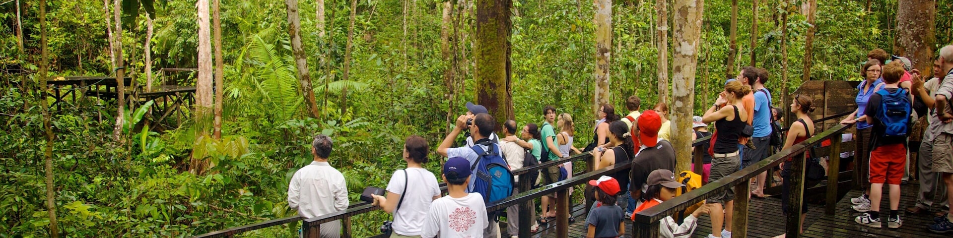 Semenggoh Wildlife Centre que inclui escalada ou caminhada, um jardim e florestas