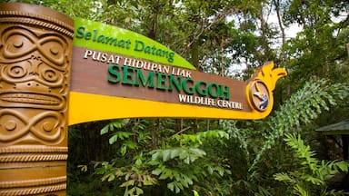 Señal del Centro de Vida Silvestre Luar Semenggoh Selamat Datang, rodeado de exuberante vegetación.