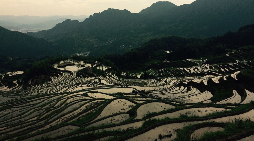 3600 steps to the viewing platform. Pretty straight forward and the view is definitely worth it.