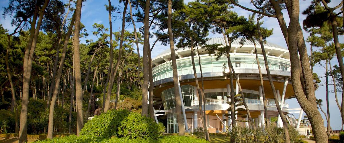 Nurimaru APEC House som inkluderar modern arkitektur och en trädgård