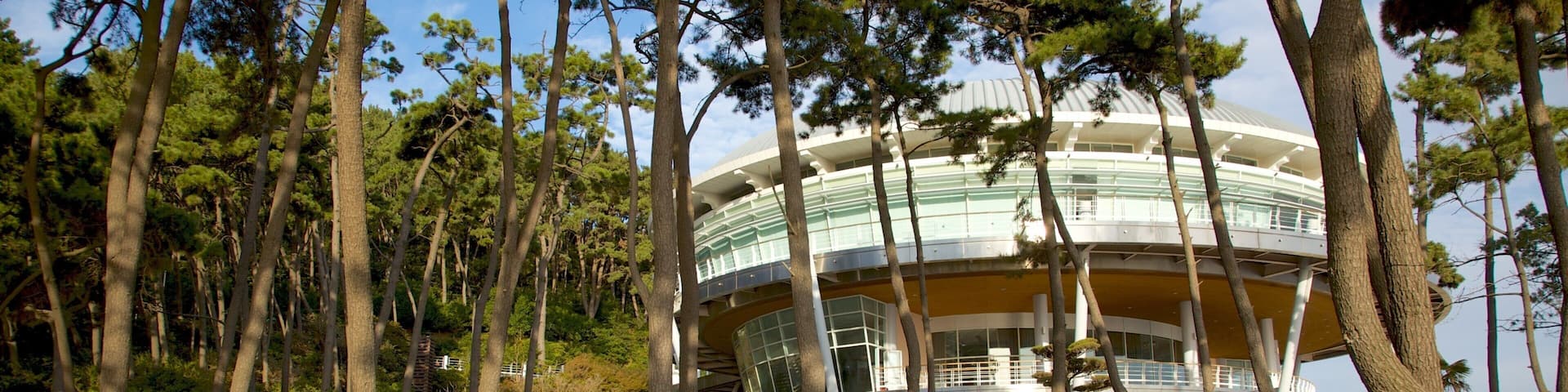 Nurimaru APEC House showing a garden and modern architecture