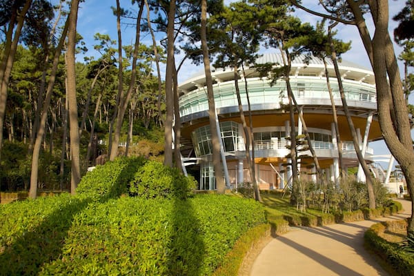 Nurimaru, Maison de l\'APEC montrant architecture moderne et parc