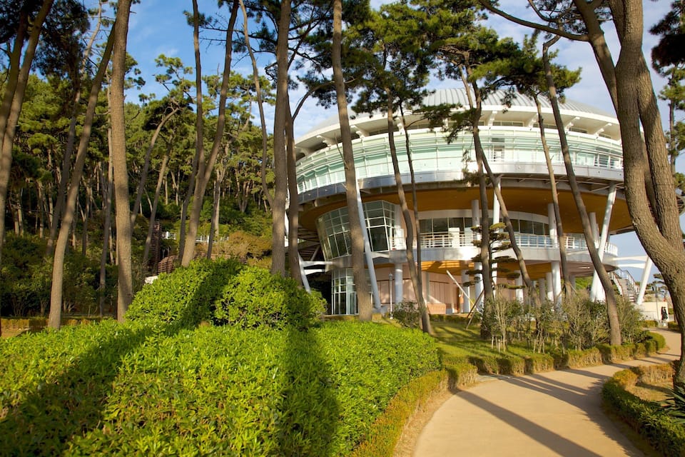 A modern building with a curved roof surrounded by tall trees and well-maintained greenery.