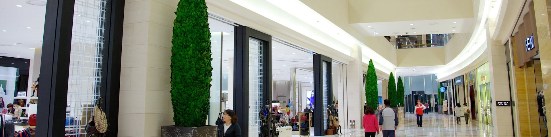 Shinsegae Centum City que incluye shopping y vista interna