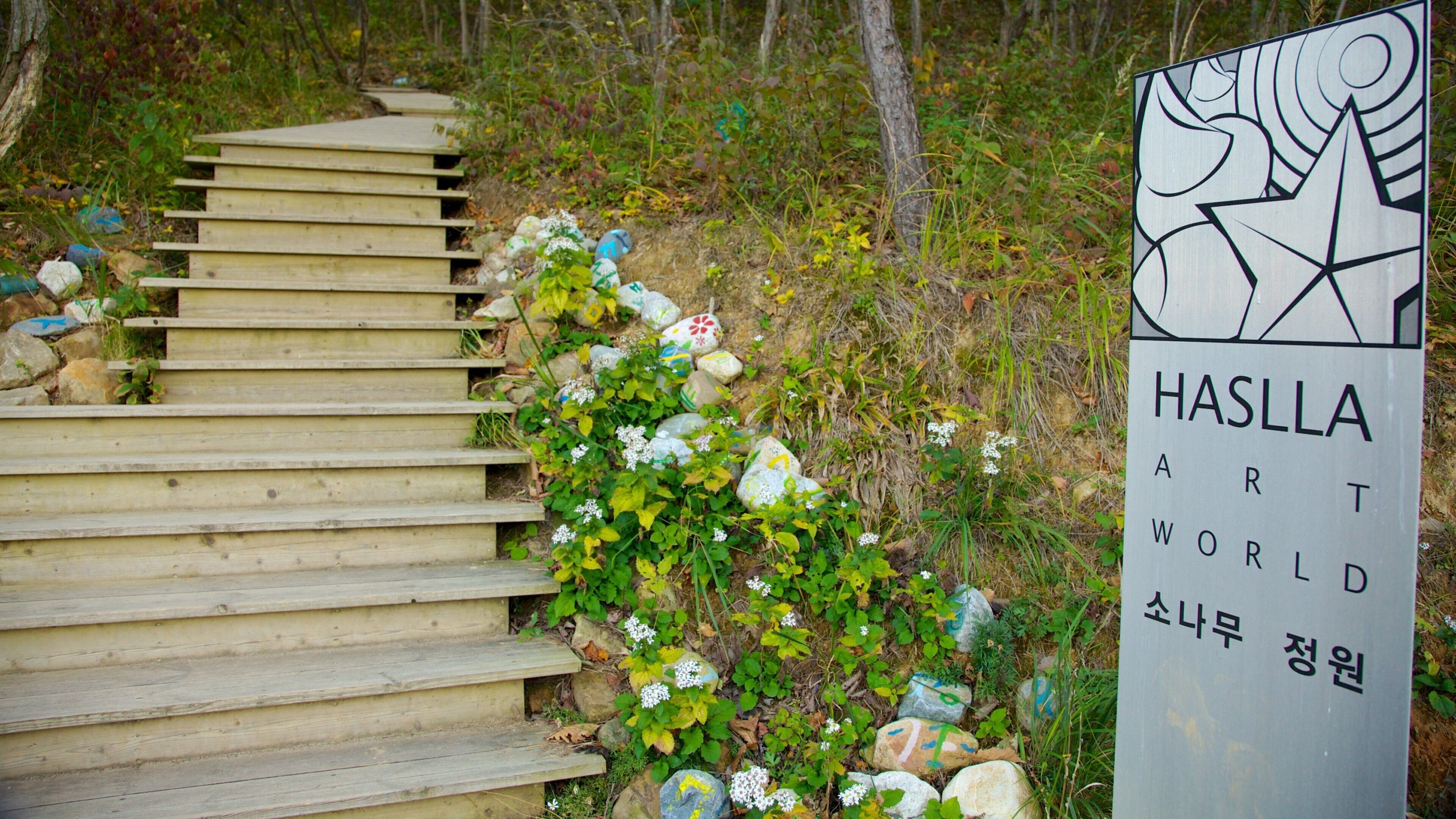 Un escalier en bois mène à une enseigne indiquant l’entrée de Haslla Art World.