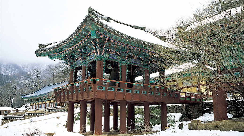 Sinheungsa Temple showing snow, a temple or place of worship and heritage architecture