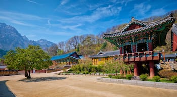 Sinheungsa temple in Seoraksan National Park, Seoraksan, South Korea