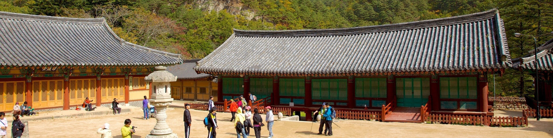 Sinheungsa Temple showing religious elements, heritage architecture and a temple or place of worship