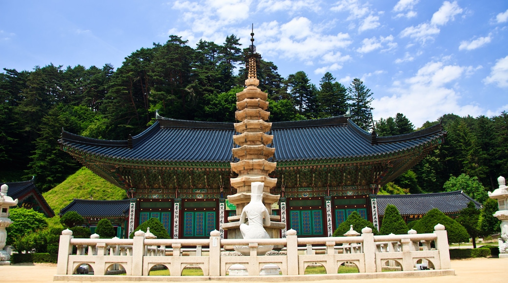 珍富