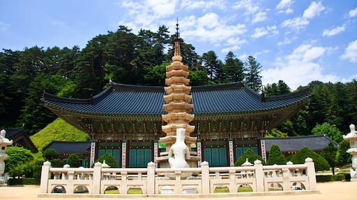 Jinbu