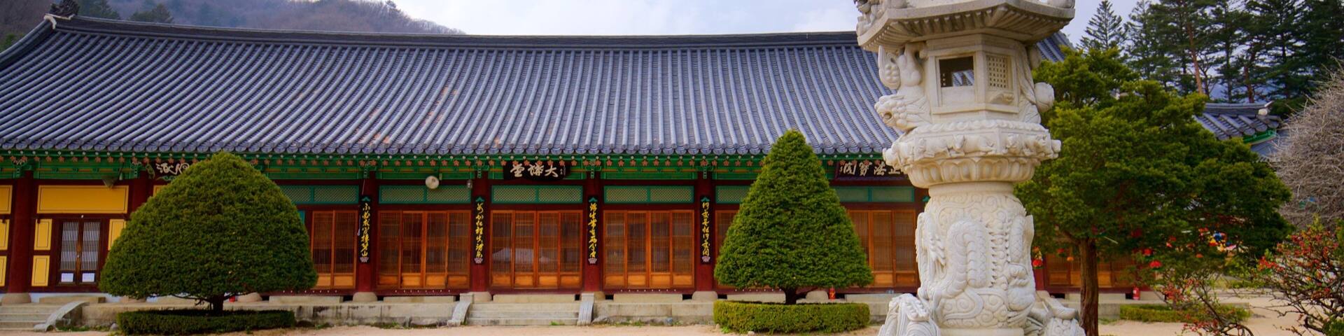 A traditional Korean temple with a tiled roof, a stone lantern, and neatly trimmed trees.