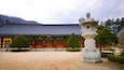 Un temple coréen traditionnel, avec un toit recouvert de tuiles, une lanterne en pierre et des arbres soigneusement taillés.