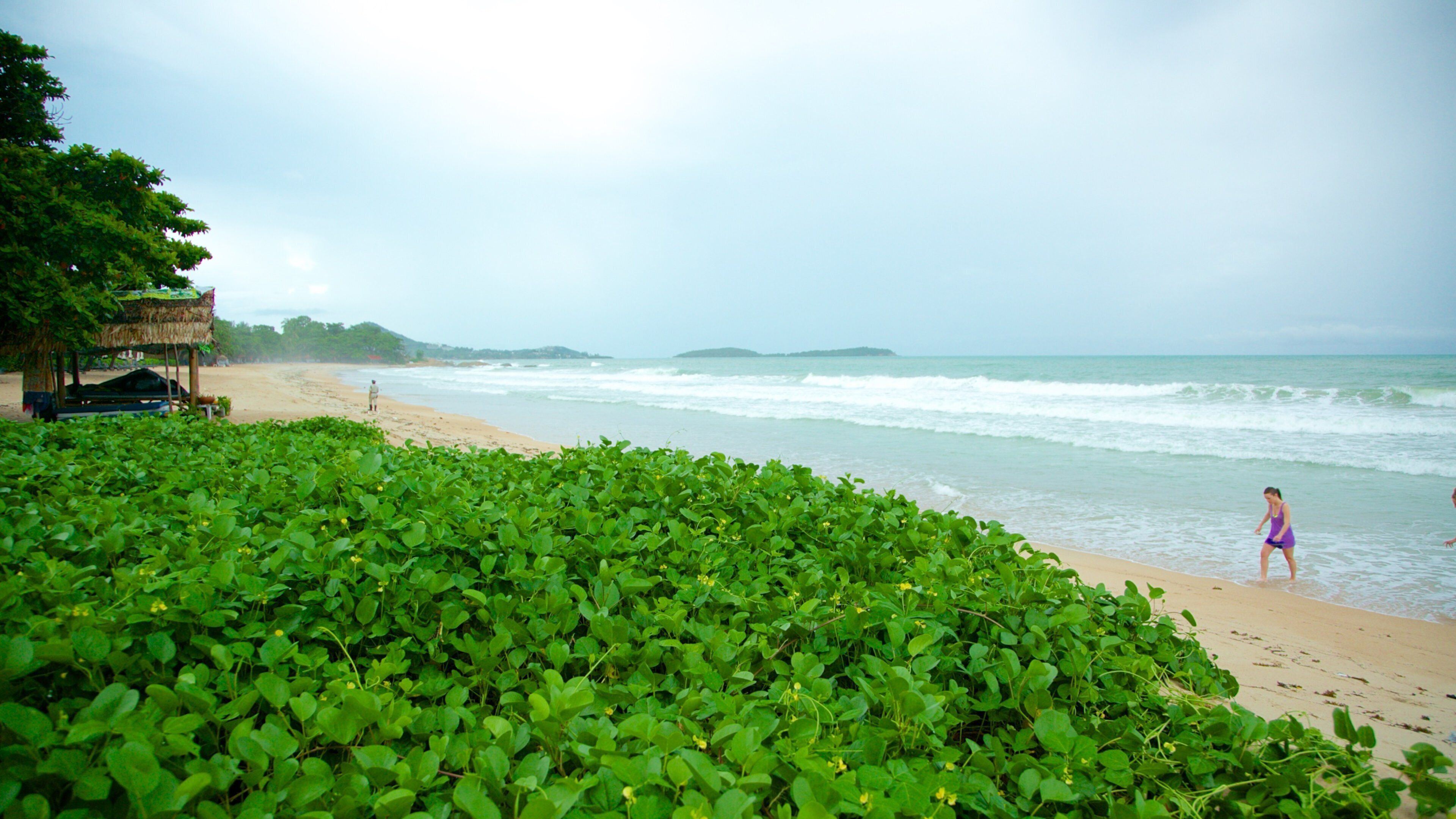 Bãi biển Silver cho thấy bãi biển