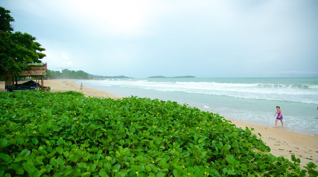 Silver Beach qui includes plage de sable