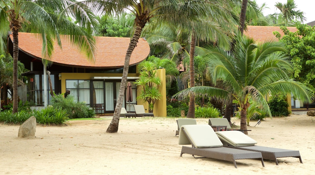 Silver Beach inclusief algemene kustgezichten en een luxueus hotel of resort