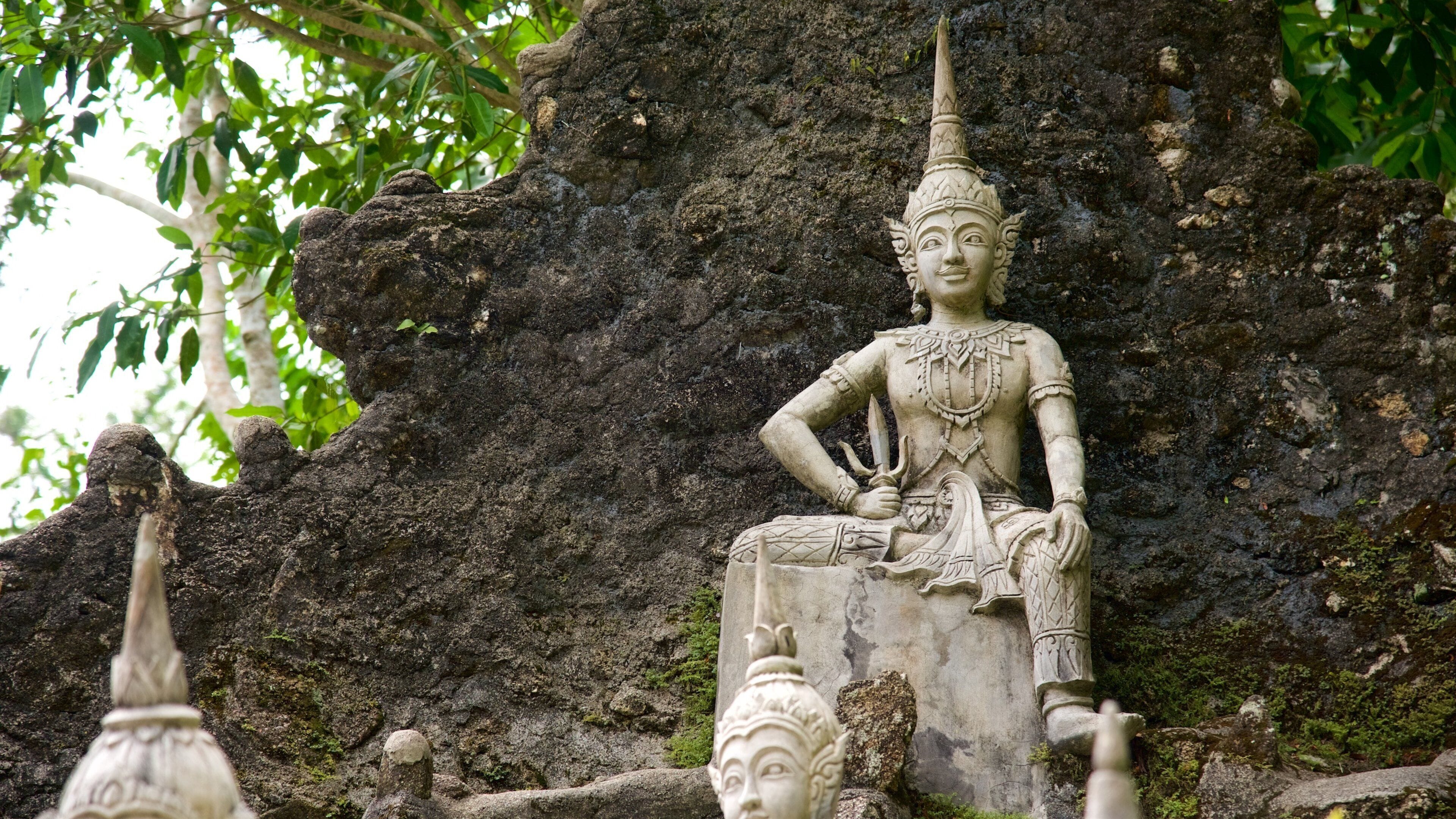 Den hemmelige Buddhas hage som inkluderer statue eller skulptur og park