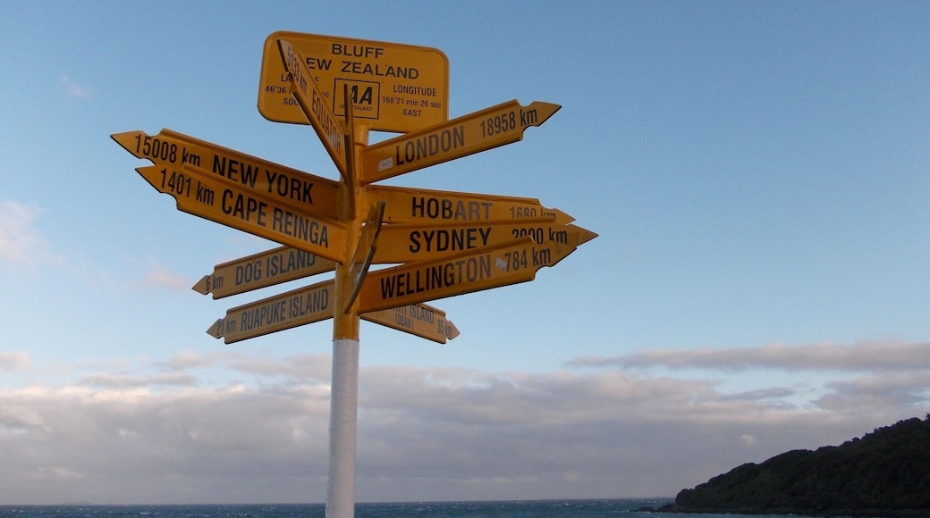 Where to go next? I'm going to Cape Reinga!