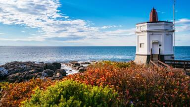 Um farol à beira-mar com costas rochosas e vegetação colorida.