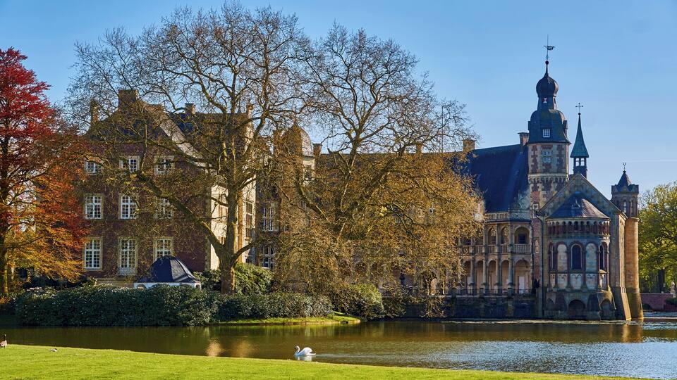 A historic building with a tower, a pond, and a swan.
