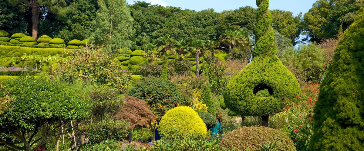 Oedo Paradise Island which includes a garden and landscape views