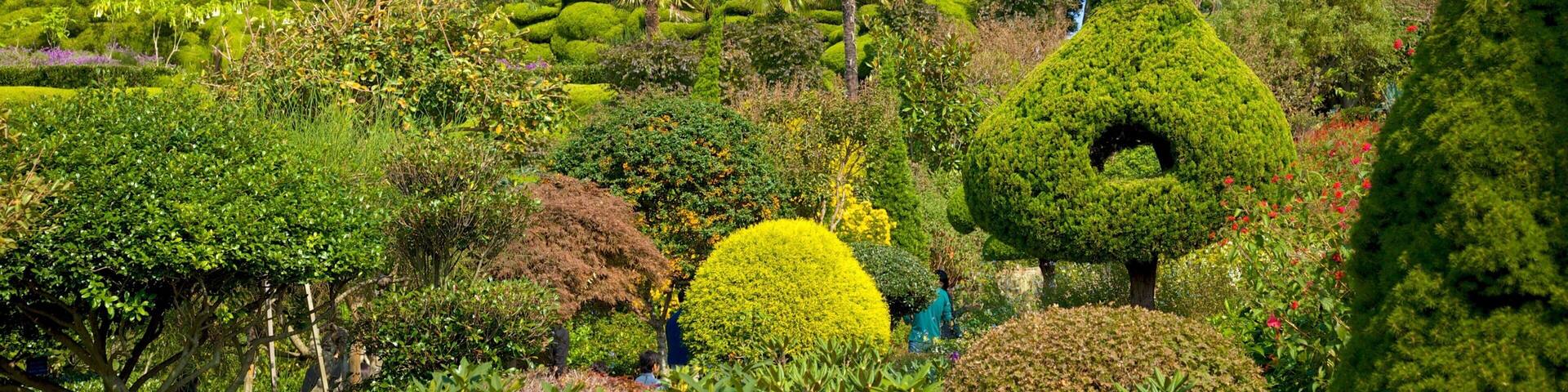 Oedo Paradise Island mit einem Park und Landschaften