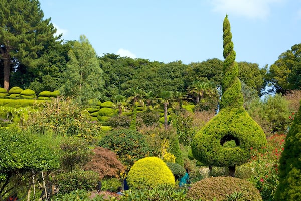 Oedo Paradise Island which includes a garden and landscape views