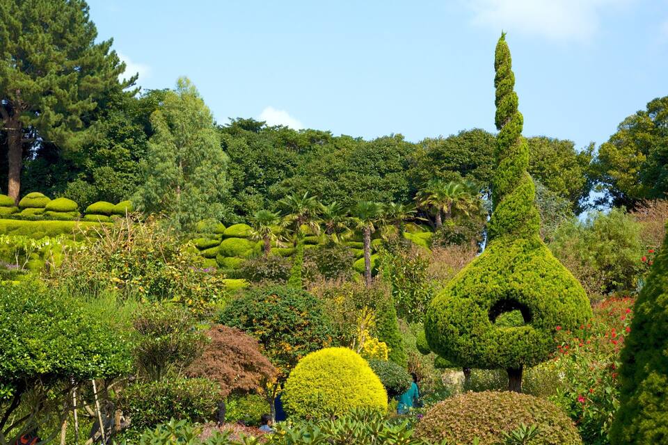A well-manicured garden with topiary sculptures, diverse plant species, and a clear sky.