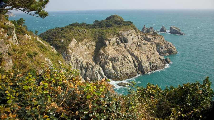 Oedo Paradise Island which includes rugged coastline and landscape views