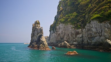 Oedo Paradise Island which includes rocky coastline and general coastal views