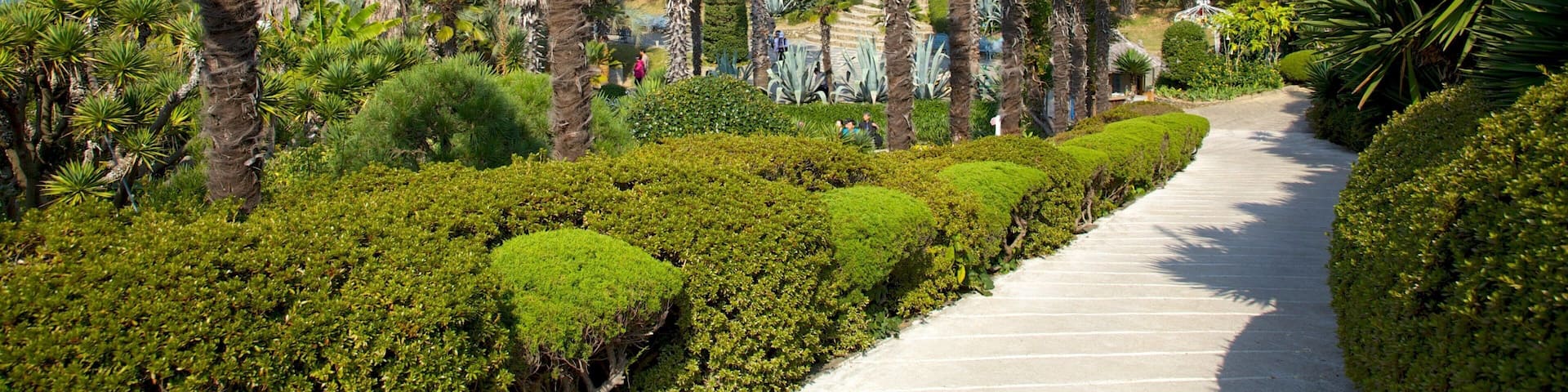 A landscaped garden with palm trees, neatly trimmed bushes, and a paved pathway.