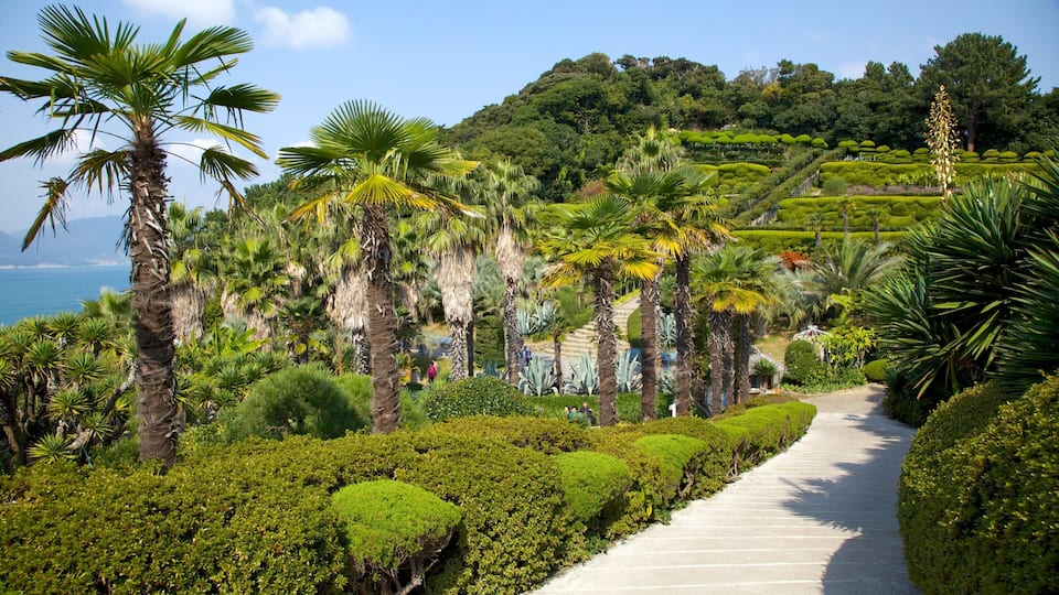 Oedo Paradise Island welches beinhaltet tropische Szenerien, Landschaften und allgemeine Küstenansicht