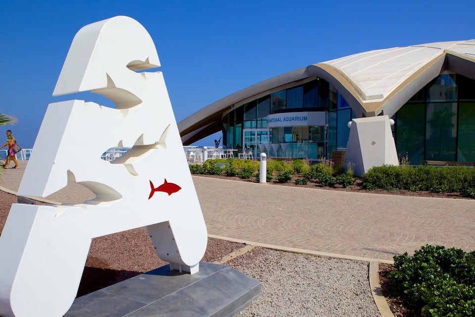 A large shark sculpture with a building labeled "National Aquarium" in the background.