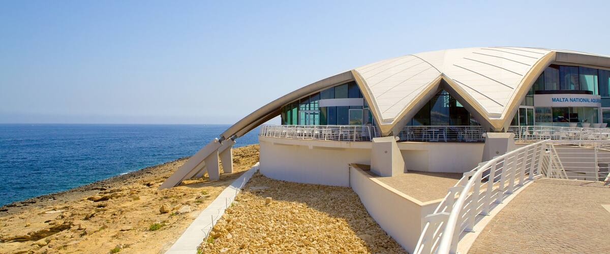 Maltan kansallinen akvaario featuring moderni arkkitehtuuri, yleiset rantanäkymät ja merielämä