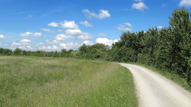 Course of the Else-Werre-Radweg between Bad Oeynhausen and Löhne