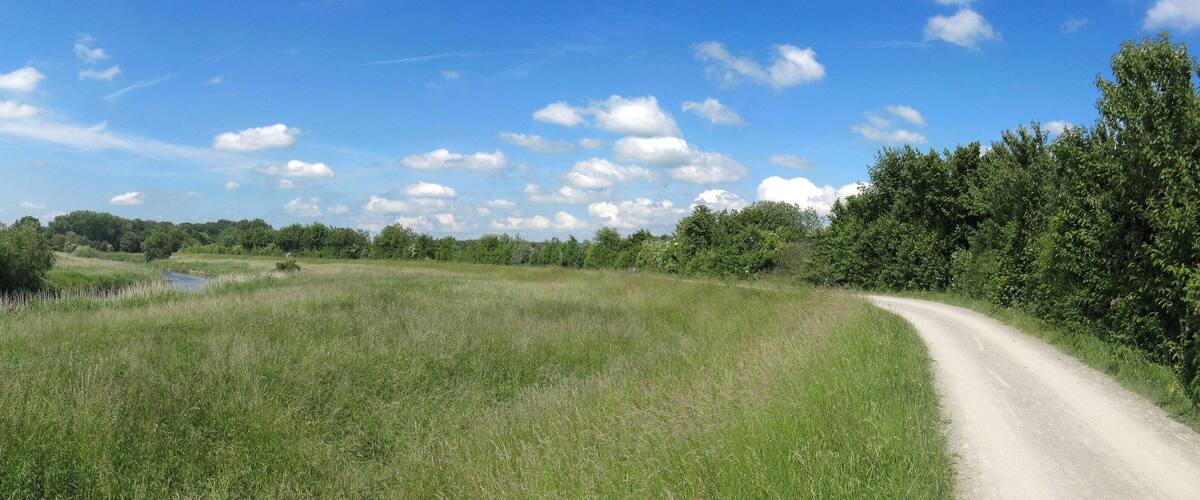 A rural landscape with a dirt road curving through a grassy field, a small body of water, and dense trees under a clear blue sky.